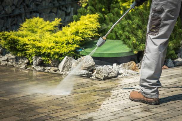 Best Boat and Dock Cleaning  in Everman, TX
